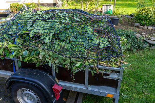 Best Scrap Metal Removal  in West Cape May, NJ